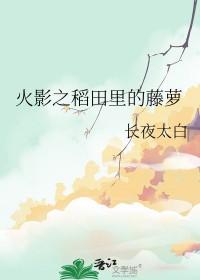 火影同人n
