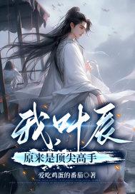 我叶辰原来是顶尖高手TXT