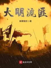 大明流匪无弹窗 全本