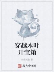 木叶之宝箱系统