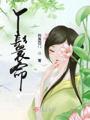 丫鬟命怎么读