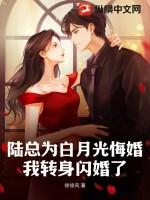 我转身闪婚了简介