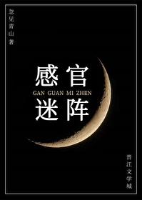 感官游戏讲的是什么
