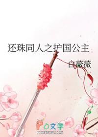 还珠同人之护国公主晋江