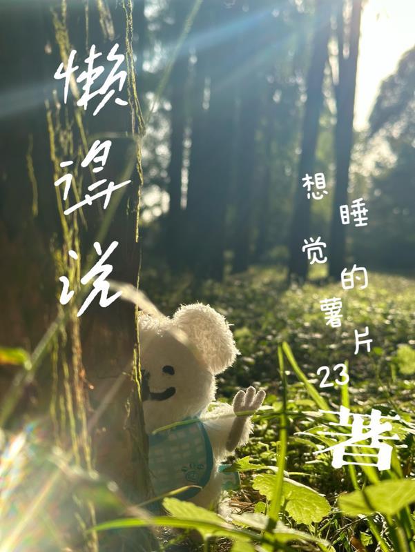 懒得说话的文案