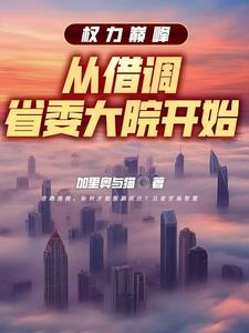 权力巅峰从借调省委大院开始八百六十五