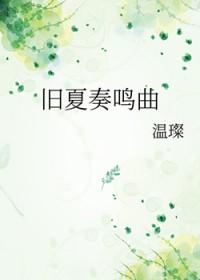 夏与冬奏鸣曲阅读