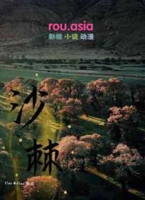 沙棘原浆的功效作用与主治
