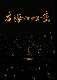 夜间的海