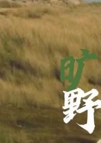 旷野之息和王国之泪哪个好玩