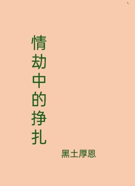 情劫第三集
