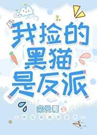 捡了只黑猫