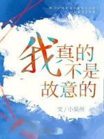 我真的不是故意的原唱