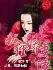 狐狸笑全文阅读