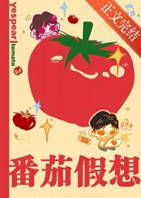 番茄计划