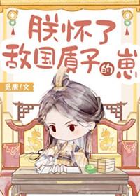 朕怀了敌国质子的孩子