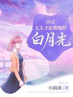 陆太太还是你免费阅读