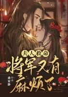 夫人救命将军又有麻烦了男主叫什么