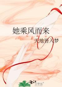 我乘着风而来