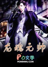 龙魂元帅第16章