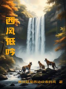 歌曲西风