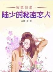 陆少的秘密恋人百度百科