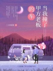 把老板的车撞坏了怎么办