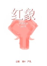 红象20年口子窖多少钱一箱四瓶