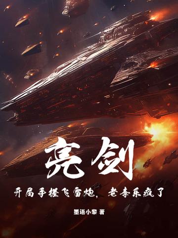 亮剑 开局