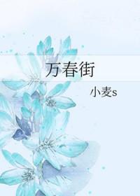 万春街 晋江