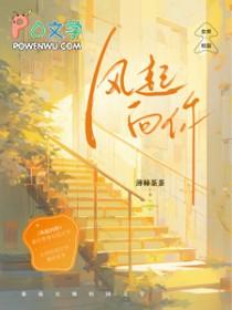 风起向你免费阅读
