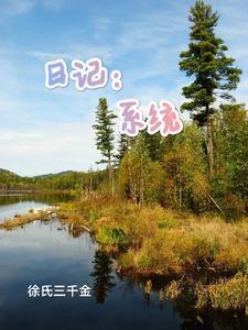 斗罗我绑定了日记系统