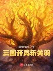 三国群英传7赵云最佳封官
