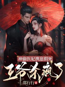 神偷王妃免费阅读全文