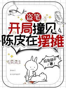 盗笔从老九门开始的黑心莲笔趣阁
