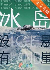 冰岛的石头