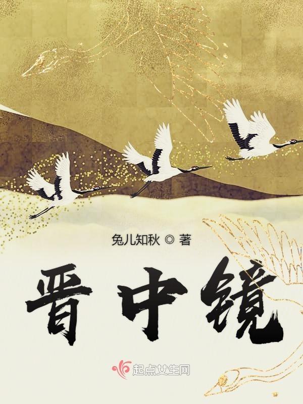 晋中镜大结局讲了啥