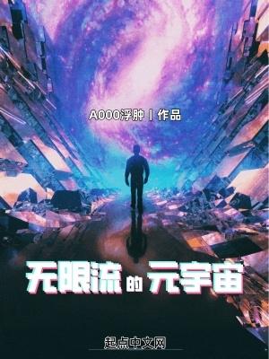 无限多元宇宙