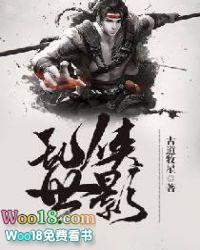乱世英雄乱世情完整版
