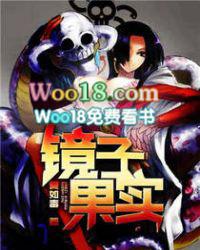 镜子果实镜迷宫