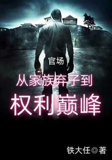 官场从家族弃子到权利巅峰书旗网