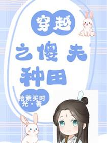 穿越之傻夫在上