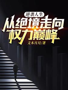 权力巅峰绝境逆袭陆凡阅读
