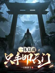 一体双魂只手叩天门主角境界