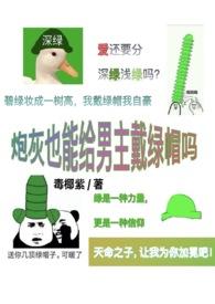 炮灰男朋友什么意思是什么