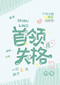 综首领总在失踪