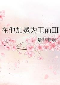 在他加冕为王前ⅱtxt