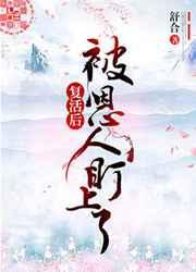 复活后的那几年 一发
