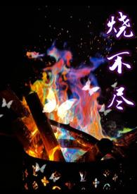 烧不尽(1v1)阅读本书作者  utopia