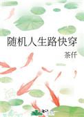 随机人生路